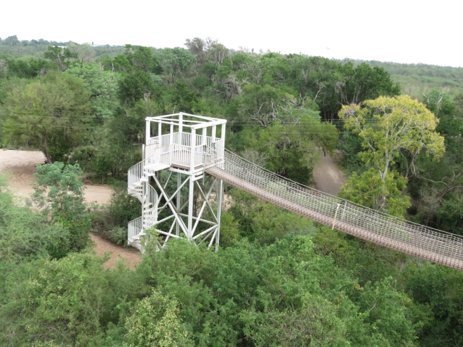 Hawk watch tower at Santa Ana. Three towers, two of them connected via aerial walkway
